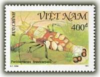 (1991-044) Марка Вьетнам "Креветка-анемон с белым пятном"    Ракообразные III Θ